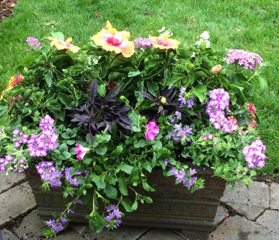 Summer Planters